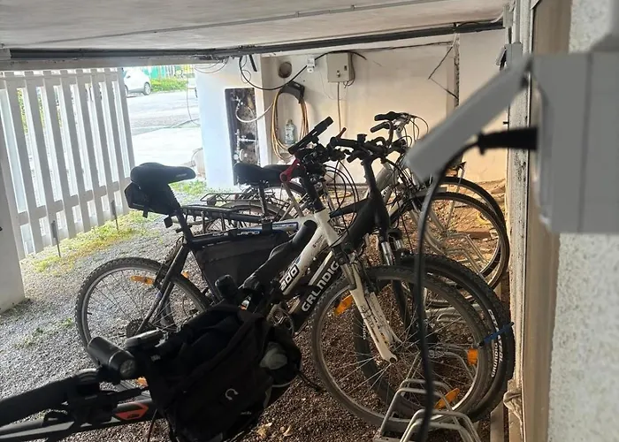 Splendor 3* 그라도