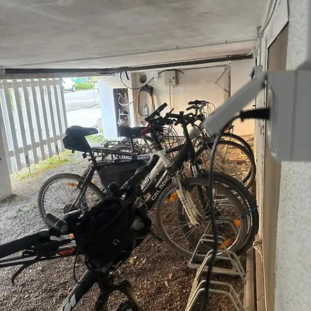 Splendor 3* Градо