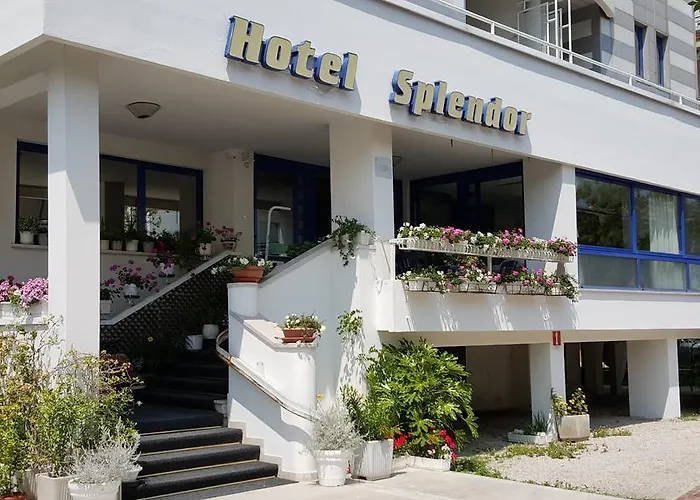 فندق Splendor 3*